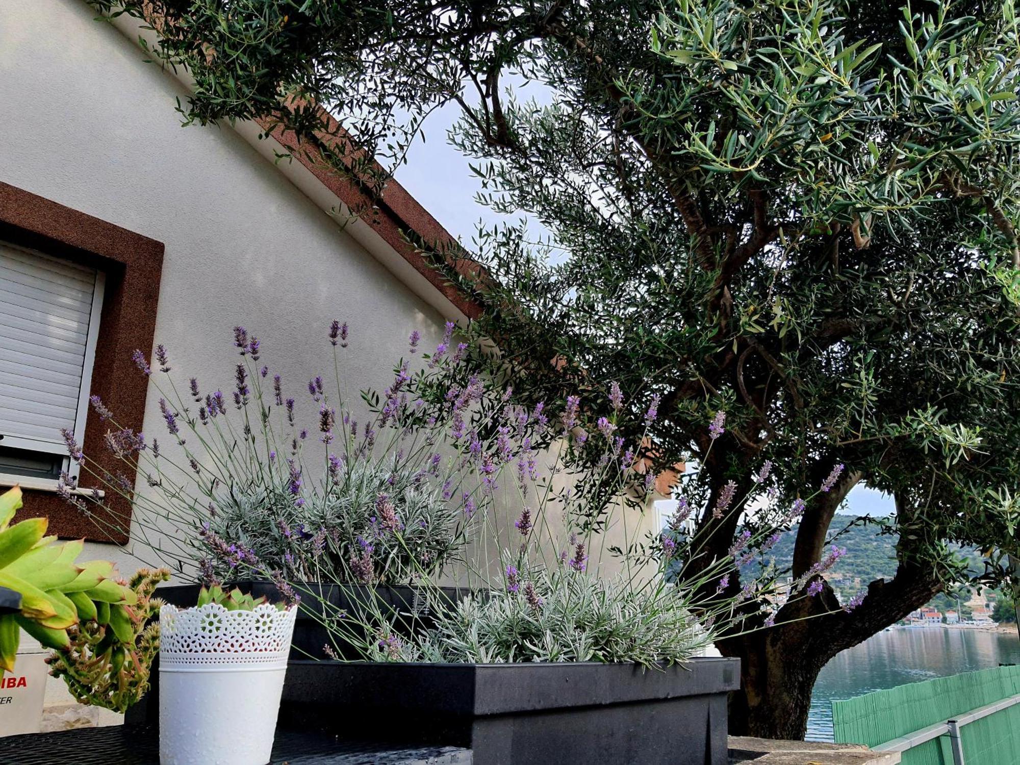 Villa Sunshine Baum Marina Luaran gambar